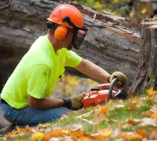 tree services North Hobbs